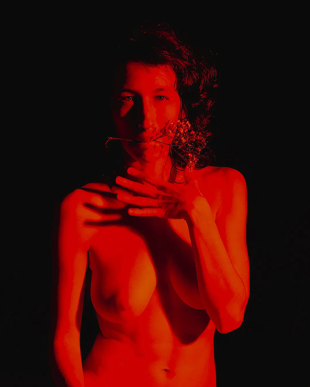 Loreta